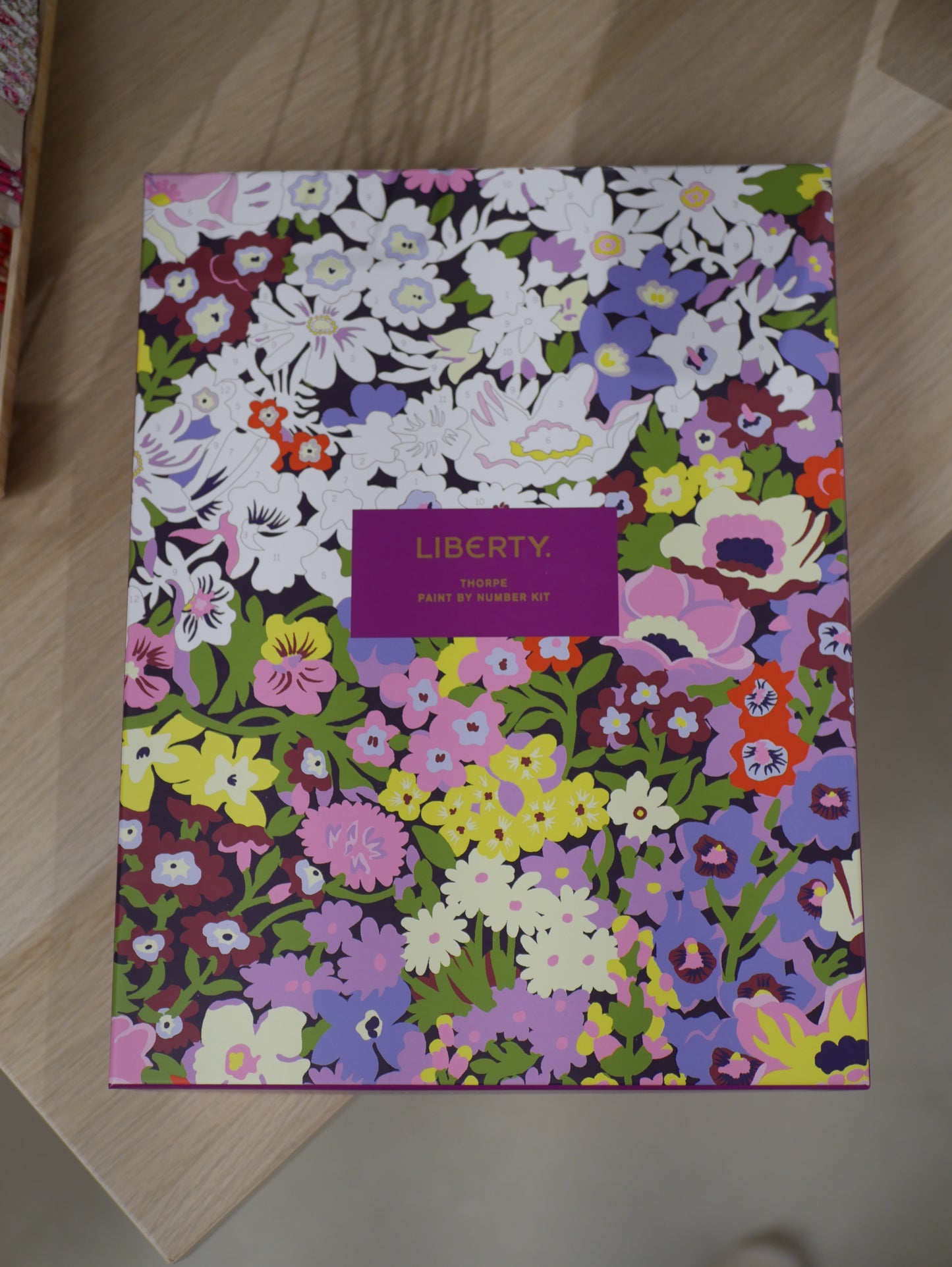 Kit peinture par numéro Liberty Thorpe