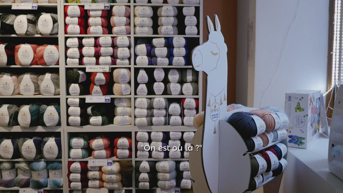 Charger la vidéo : 